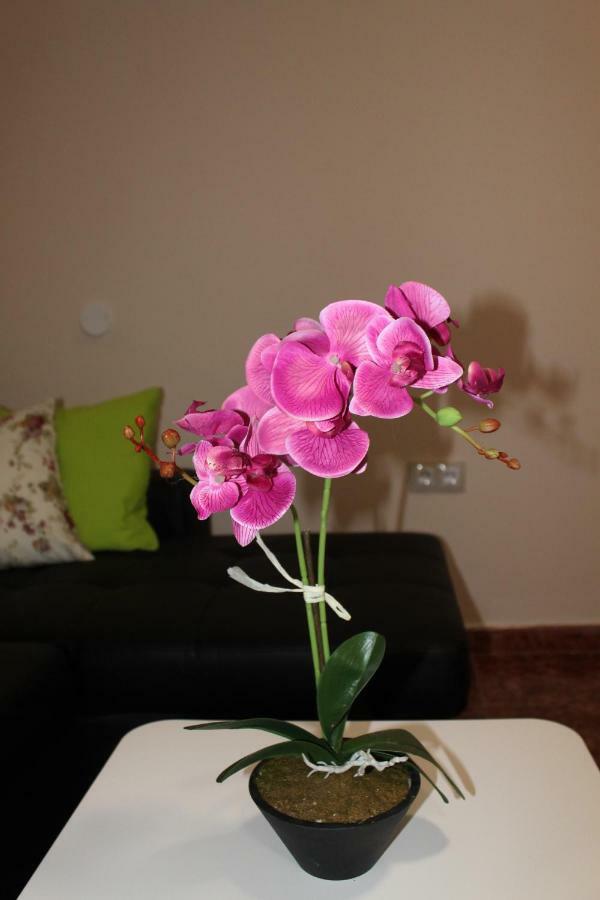 Beautiful Apartment Hercules Коста дел Силенцио Екстериор снимка